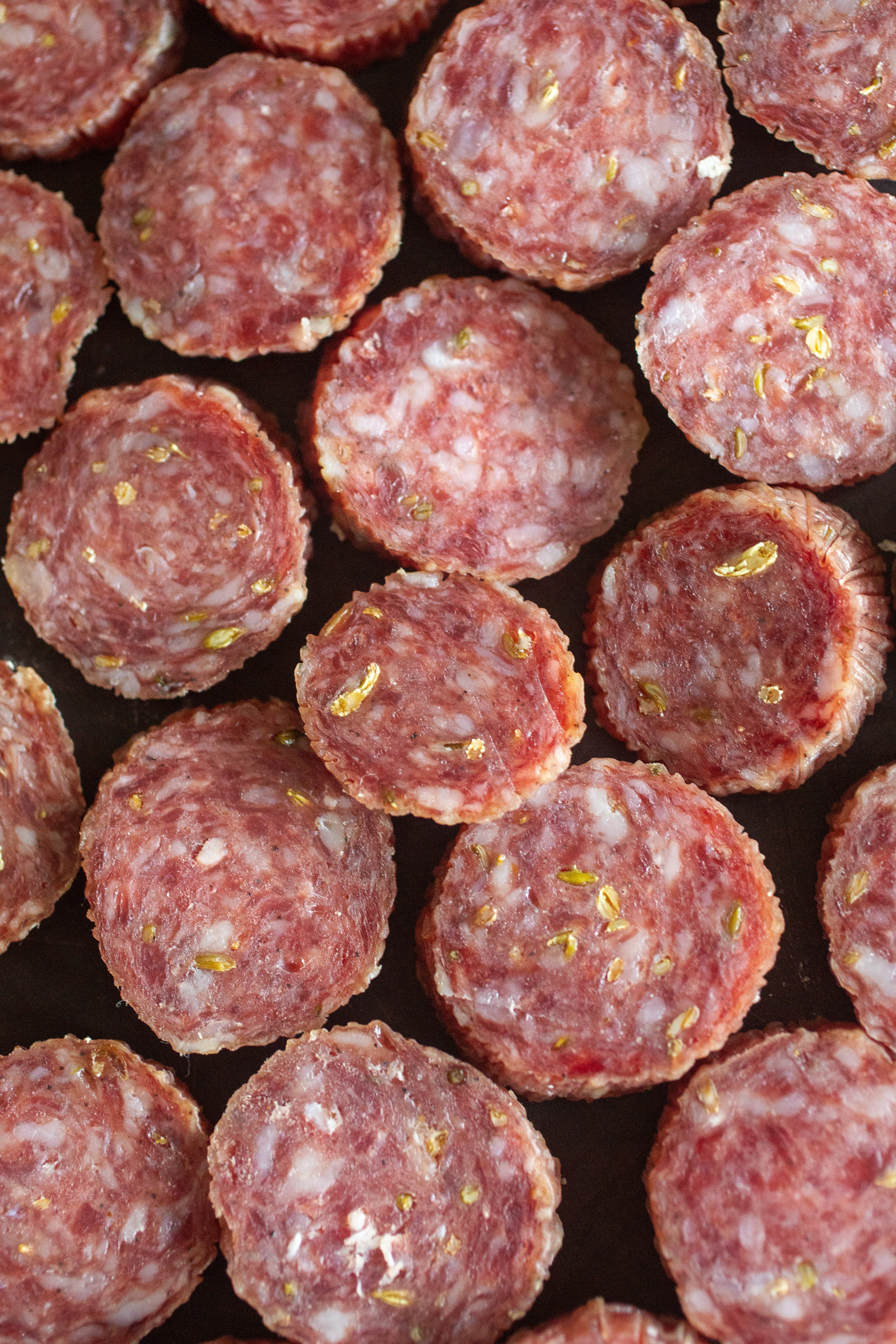 Finocchiona Salami Case - 16 Salamis